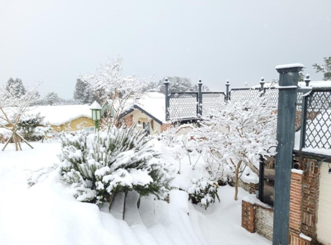 Pension for Sale Near Jeju International Airport — Prime Accessibility Asset